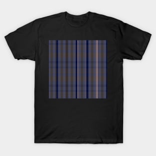 Dark Academia Aesthetic Catriona 2 Hand Drawn Textured Plaid Pattern T-Shirt